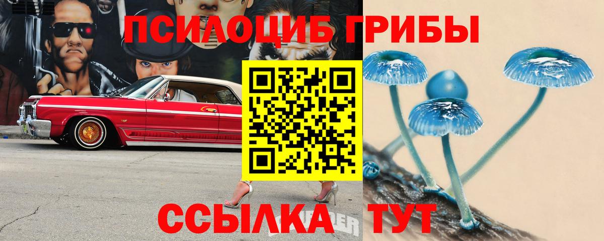 Галлюциногенные грибы Cubensis  наркошоп  Псилоцибиновые грибы Magic Shrooms  Советская Гавань 