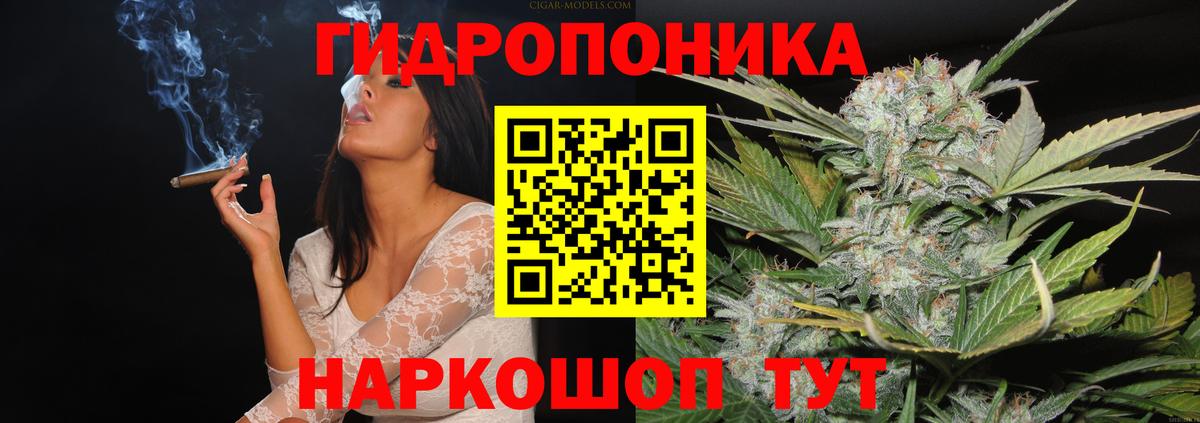 Гашиш Советская Гавань